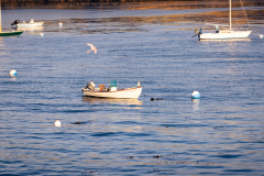 2026-SFSTA-Annual-Conference-Pebble-71