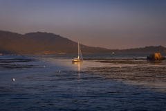 2026-SFSTA-Annual-Conference-Pebble-75