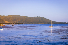 2026-SFSTA-Annual-Conference-Pebble-78